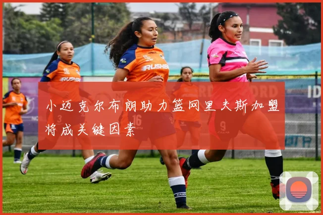 小迈克尔布朗助力篮网里夫斯加盟将成关键因素